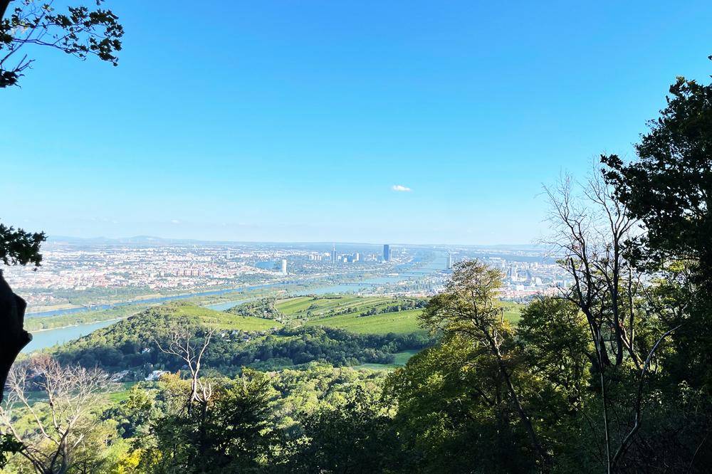 Weitläufiger Panoramablick auf eine Stadt, einen Fluss und Weinberge von einem erhöhten Standpunkt.