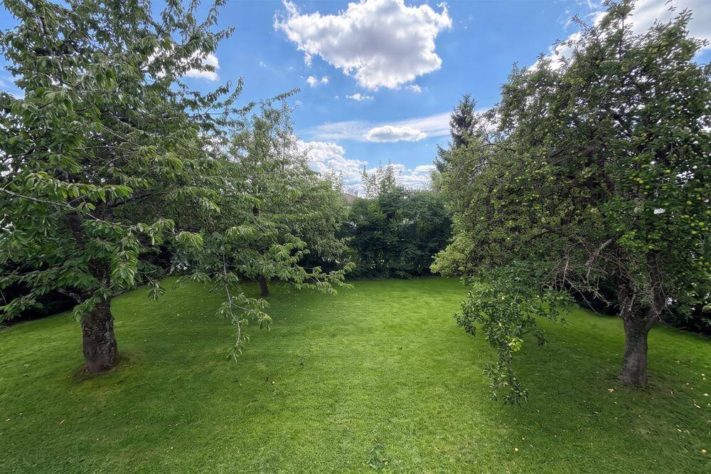 Großer, gepflegter Garten mit Rasenfläche und alten Obstbäumen unter blauem Himmel.
