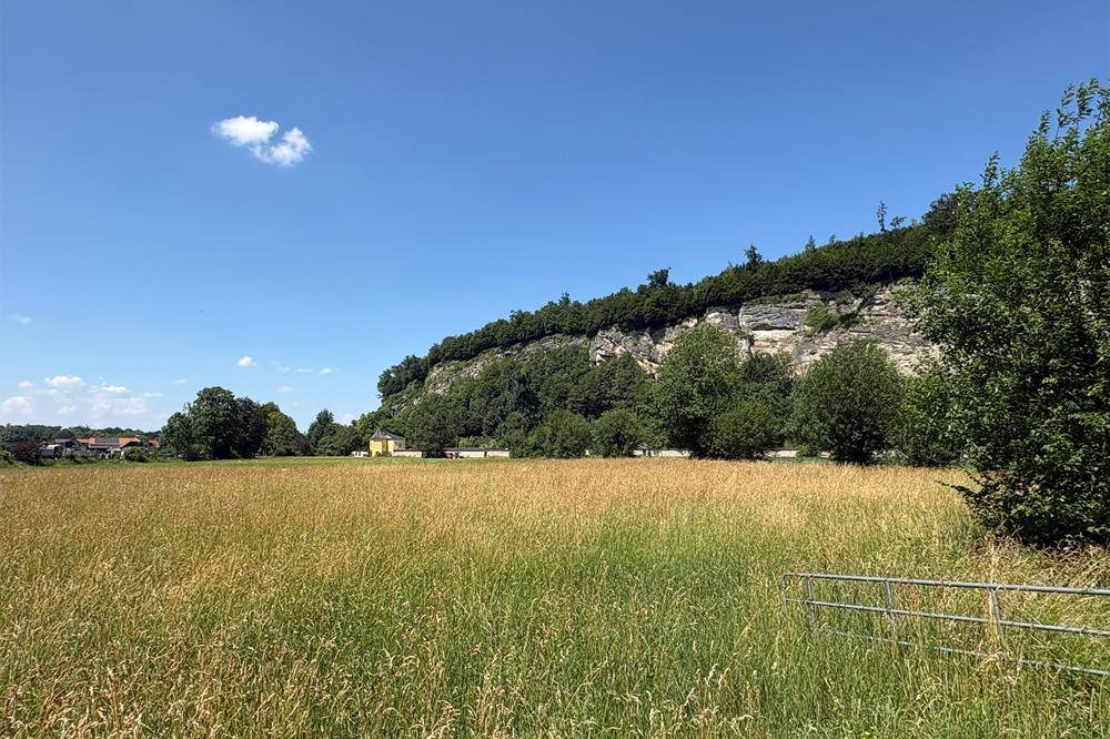 Weitläufiges Feld mit hohem Gras und einer beeindruckenden bewaldeten Felswand im Hintergrund unter blauem Himmel.