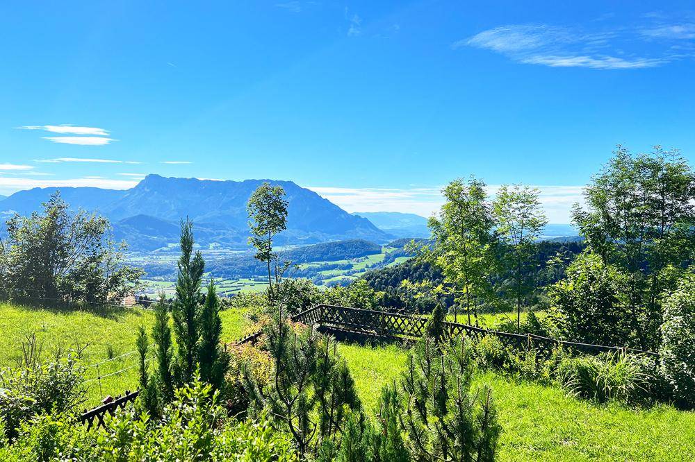 Panoramablick pur!