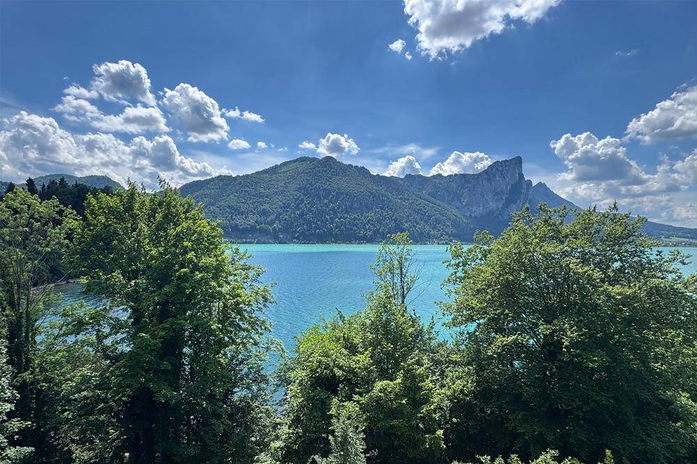 Panoramablick auf den See und die Berge, umrahmt von üppigem Grün.
