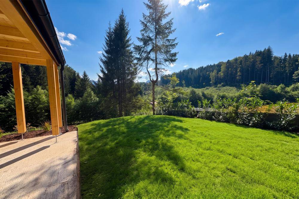 Weitläufiger grüner Rasenbereich mit Blick auf den umliegenden Wald und die sonnige Naturlandschaft.