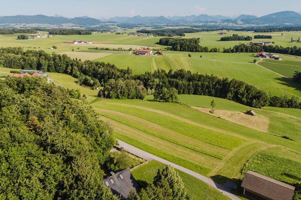Von der Anhöhe öffnet sich ein weiter Blick in die Kulturlandschaft des Alpenvorlands