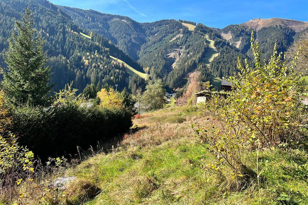 Grünes Hanggrundstück mit Blick auf bewaldete Berge und Skipisten im Hintergrund.