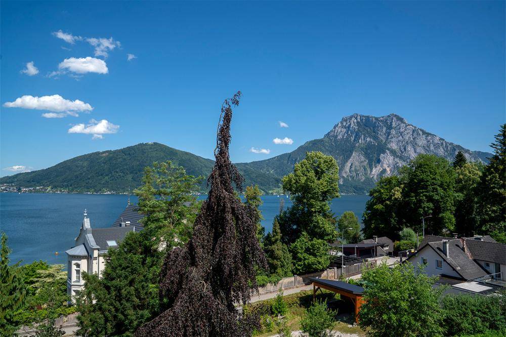 Panoramablick deluxe