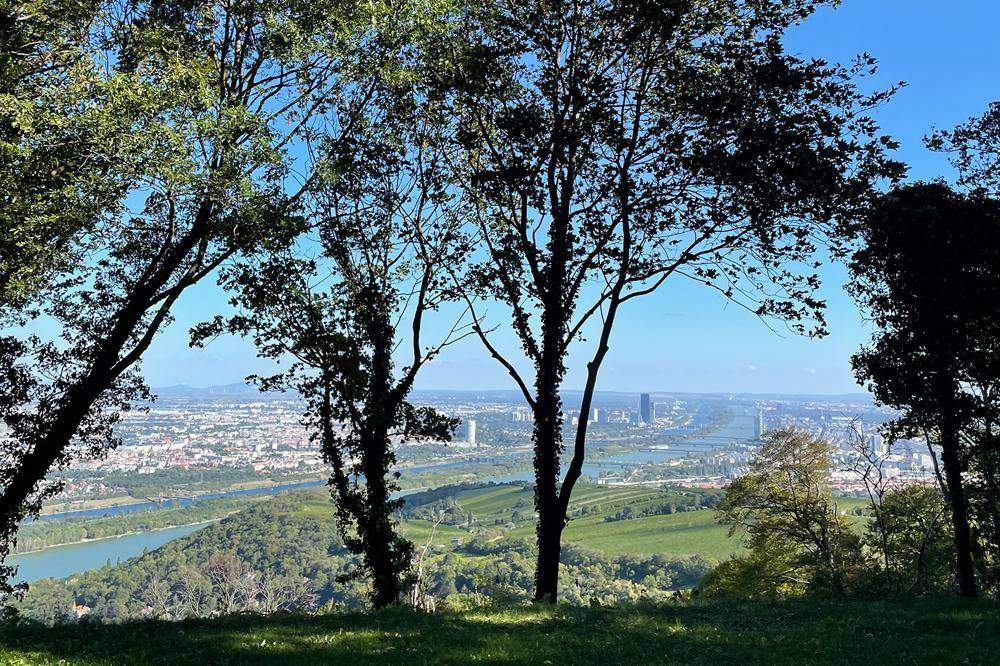 Panoramablick auf eine Stadt und einen Fluss von einem Hügel aus, umrahmt von Bäumen.