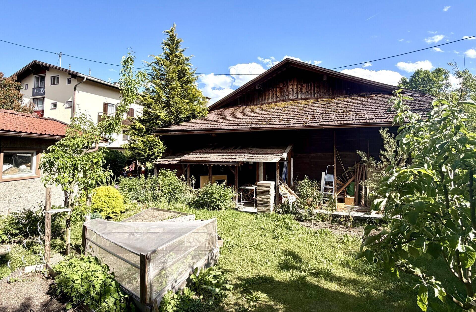 Hinterhof mit einem naturbelassenen Garten, Holzfassade des Hauses und einem kleinen Gewächshaus.