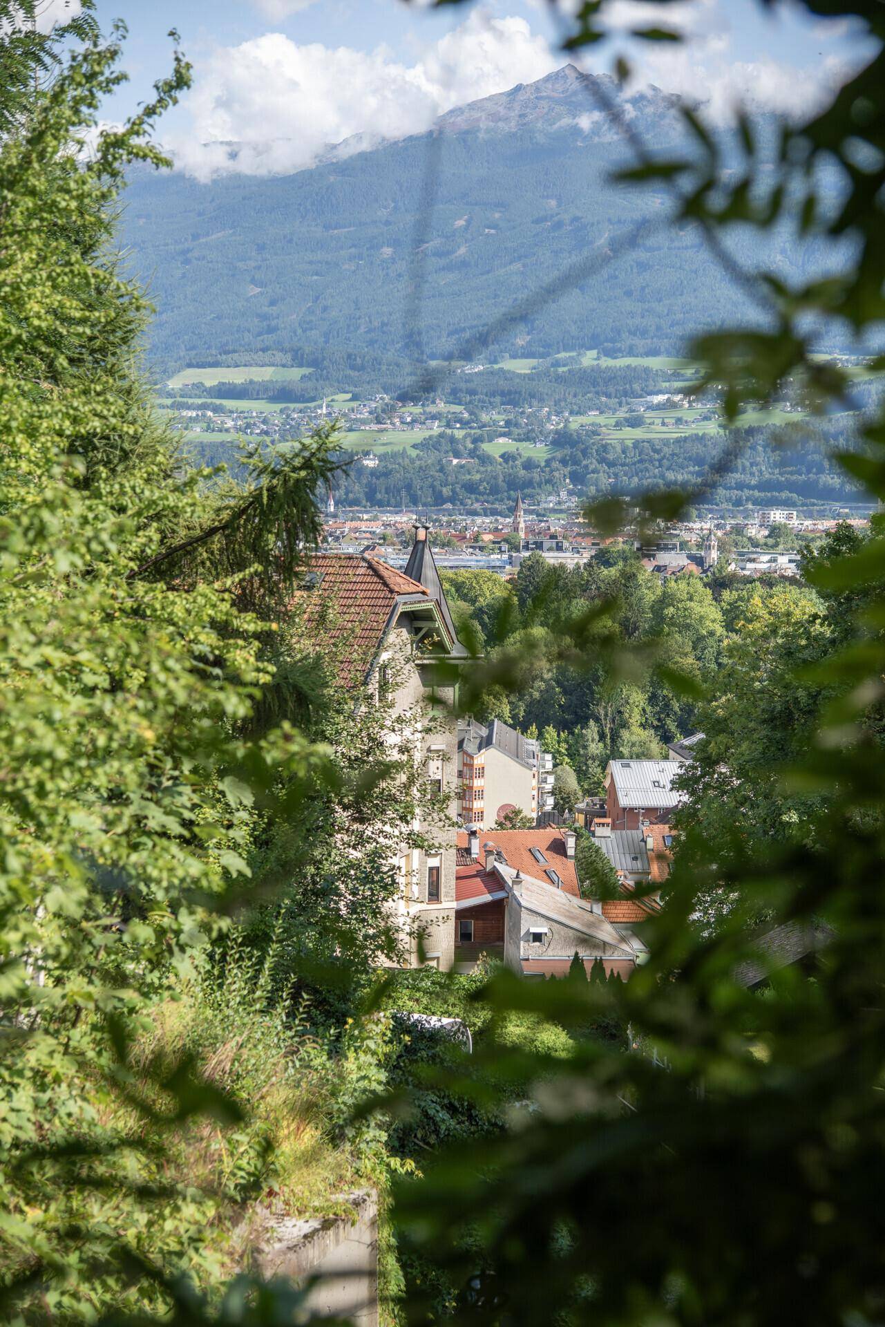 Blick