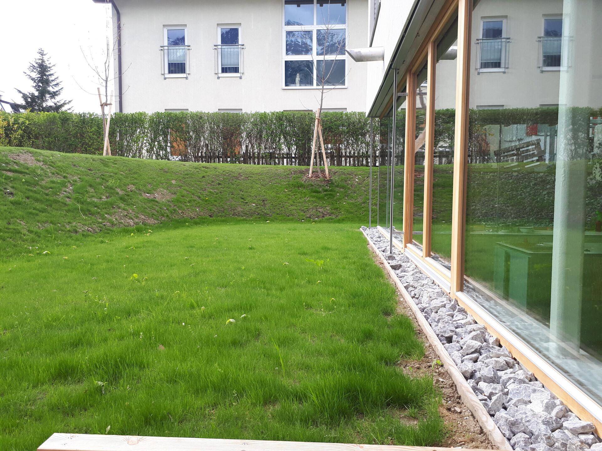 Gepflegter Rasenbereich neben dem Gebäude mit großen Fenstern und einer grünen Hecke im Hintergrund.