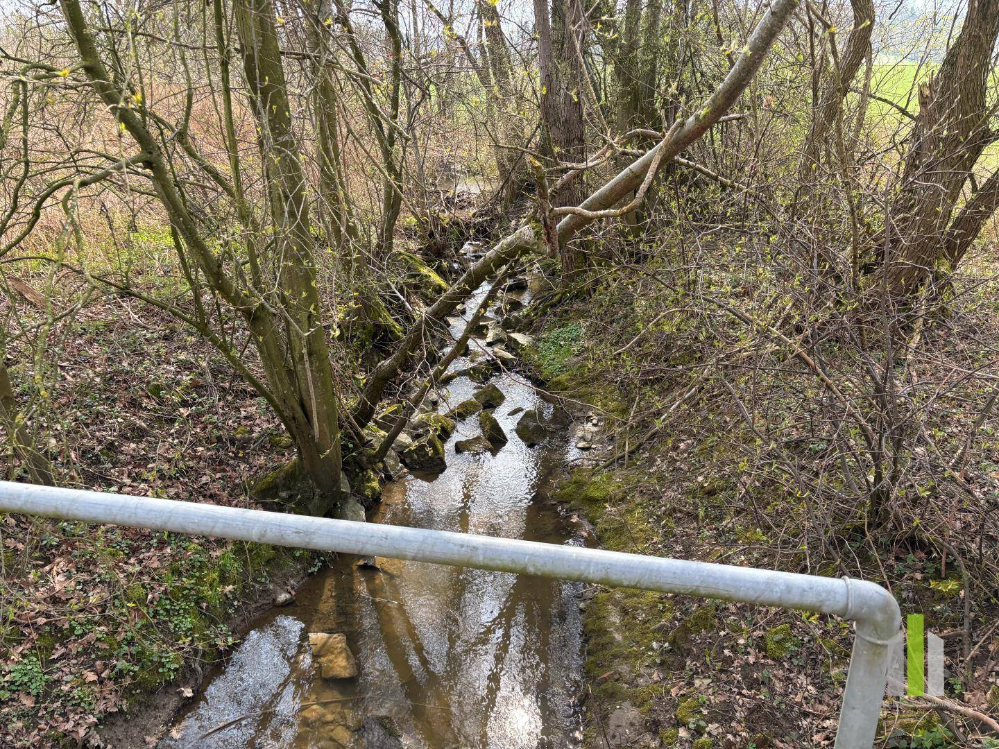 Kleiner Bach mit Felsen und dichtem Uferbewuchs, gesehen durch ein Metallgeländer, bietet idyllische Natur.
