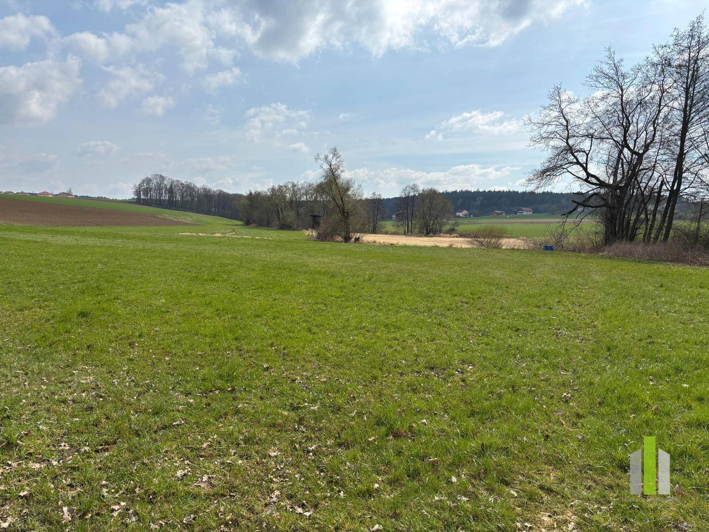 Offene grüne Wiese mit weitem Blick auf die umliegende Landschaft und entfernte Bäume unter blauem Himmel.