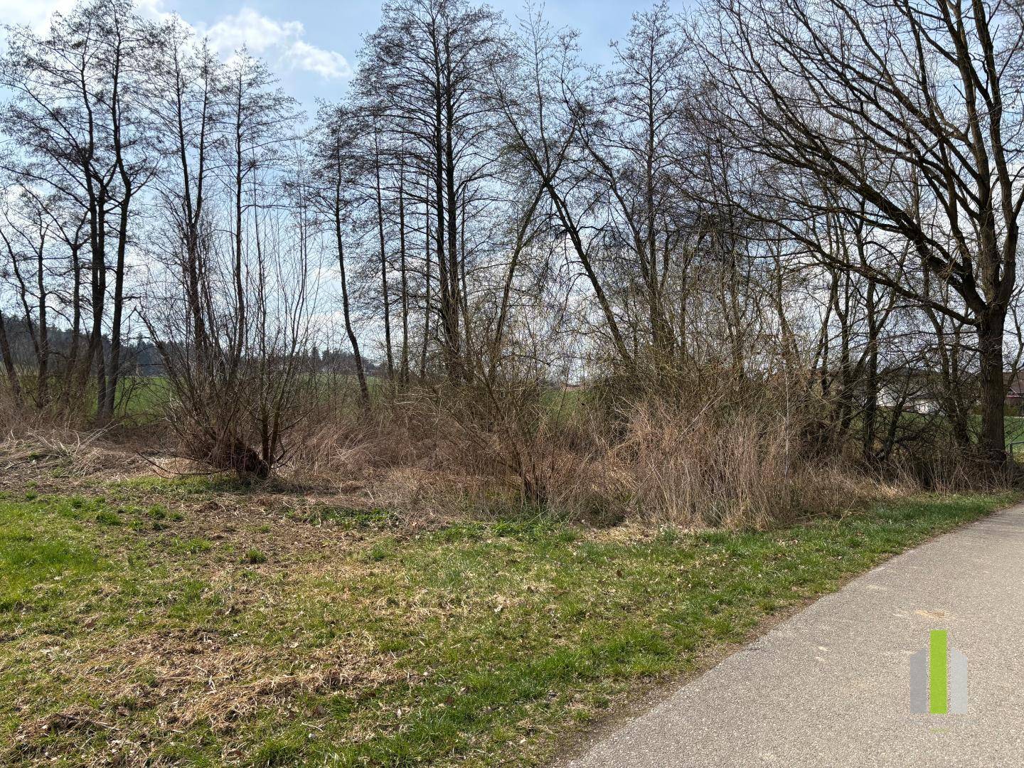 Wegrand mit dichtem Bewuchs von Bäumen und Sträuchern in ländlicher Umgebung, bietet natürliche Abgeschiedenheit.