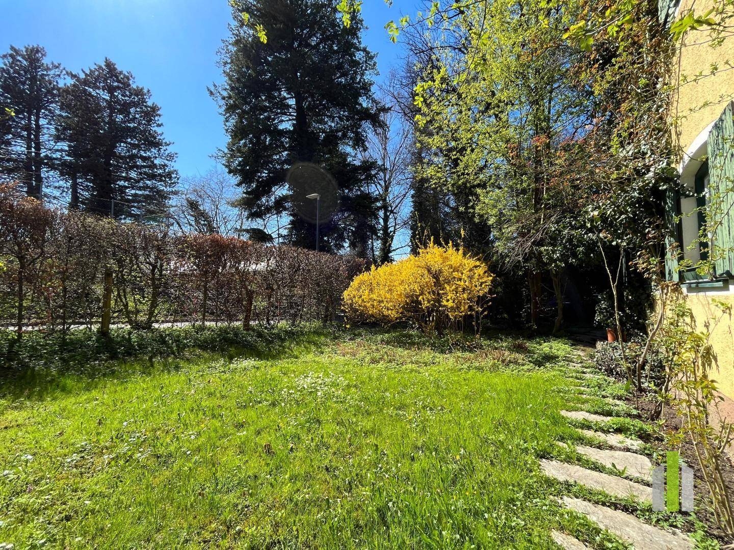 Großer grüner Garten mit Rasenfläche, blühenden Sträuchern und hohen Bäumen unter blauem Himmel.