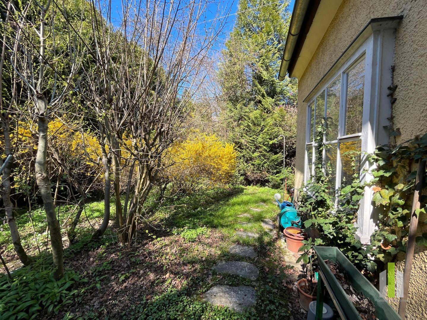 Seitlicher Gartenweg mit Steinplatten, umgeben von üppigen Sträuchern und Bäumen.