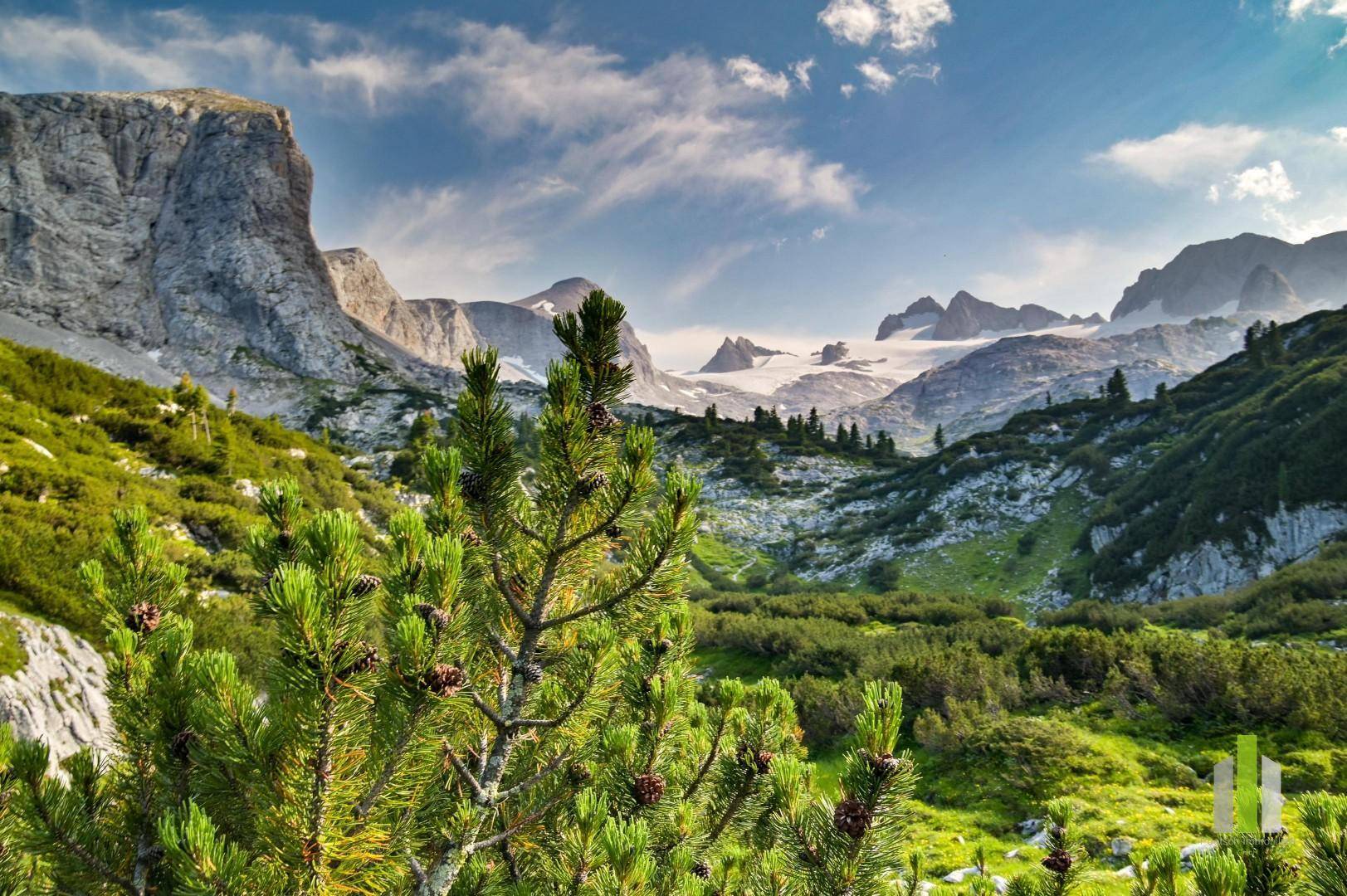 Atemberaubende Berglandschaft mit schneebedeckten Gipfeln und üppiger grüner Vegetation im Vordergrund.
