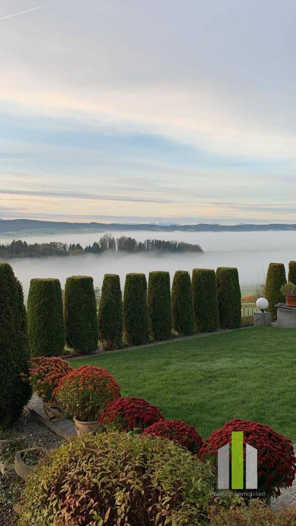Garten mit hohen Hecken und einem malerischen Blick über eine neblige Landschaft.