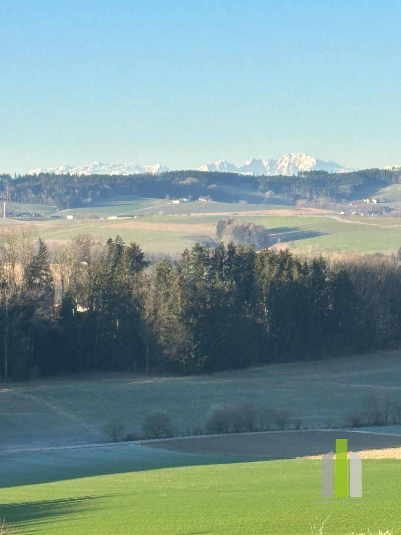 Malerischer Weitblick über grüne Felder und Wälder bis zu den schneebedeckten Bergen.