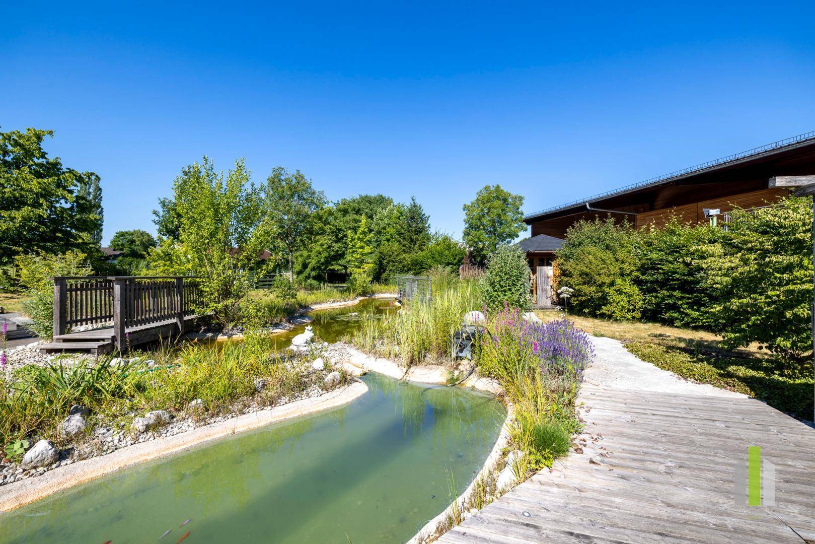 Schöner Garten mit einem Teich, einem Holzsteg und üppiger Vegetation, die zum Entspannen einlädt.