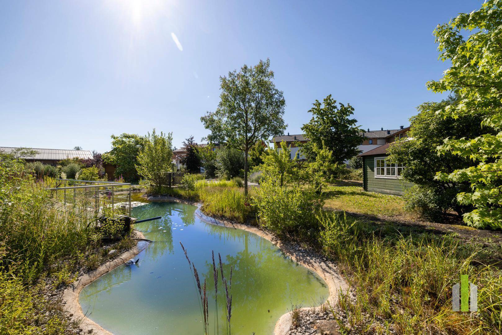 Idyllischer Garten mit einem natürlichen Teich, üppiger Vegetation und einem kleinen Gartenhaus im Hintergrund.