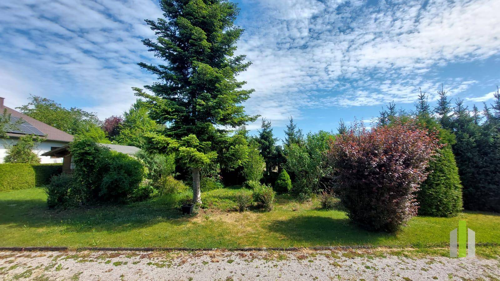 Großer Gartenbereich mit verschiedenen Bäumen und Sträuchern unter blauem Himmel.