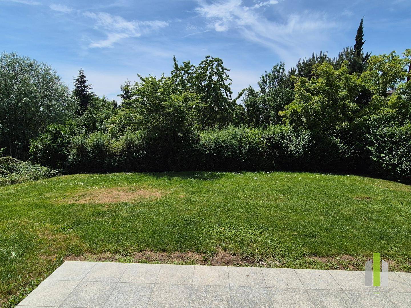 Weitläufiger, sonniger Gartenbereich mit Rasenfläche und üppiger Bepflanzung im Hintergrund.