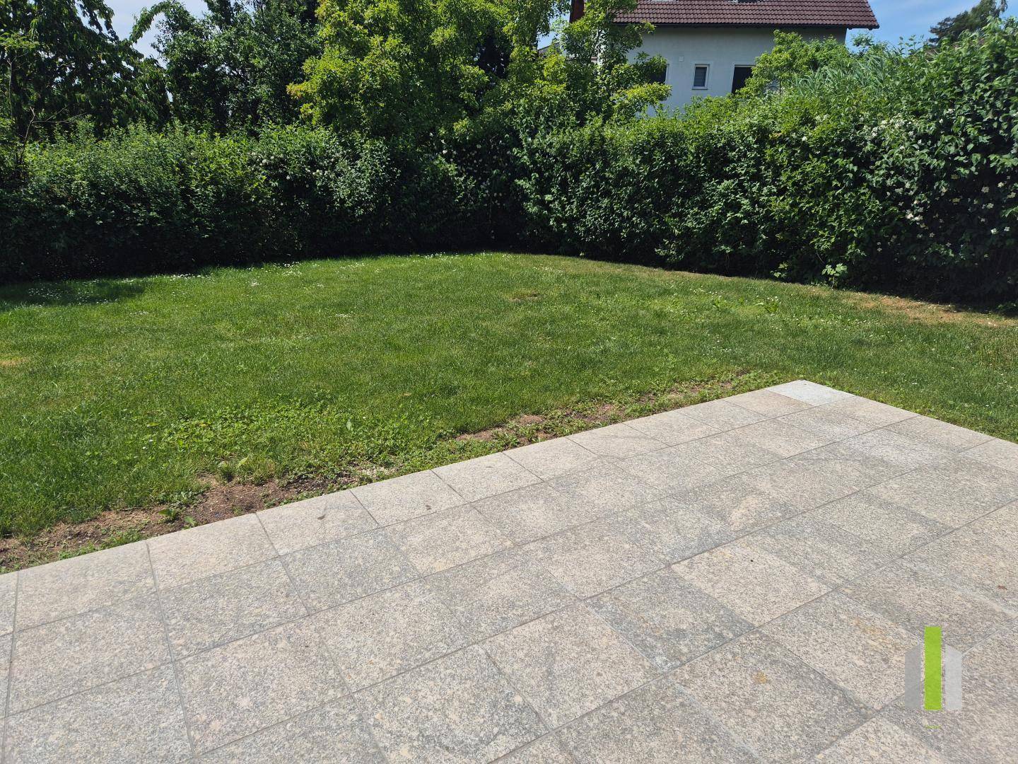 Gepflegte Rasenfläche im Garten, umgeben von einer dichten Hecke und Bäumen.