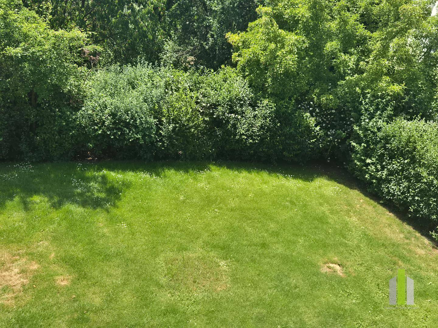 Gepflegter Rasenbereich mit einer dichten Hecke im Hintergrund, ideal für Entspannung im Garten.