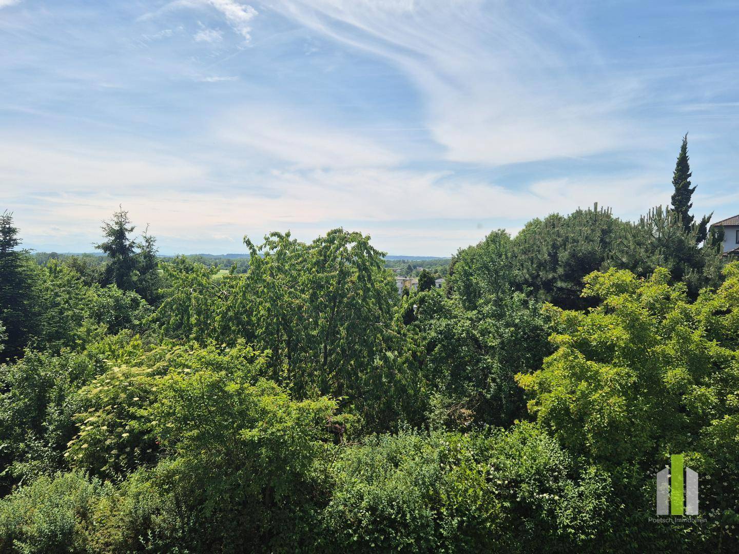 Panoramablick über eine üppige grüne Landschaft mit vielen Bäumen und einem weiten Horizont.