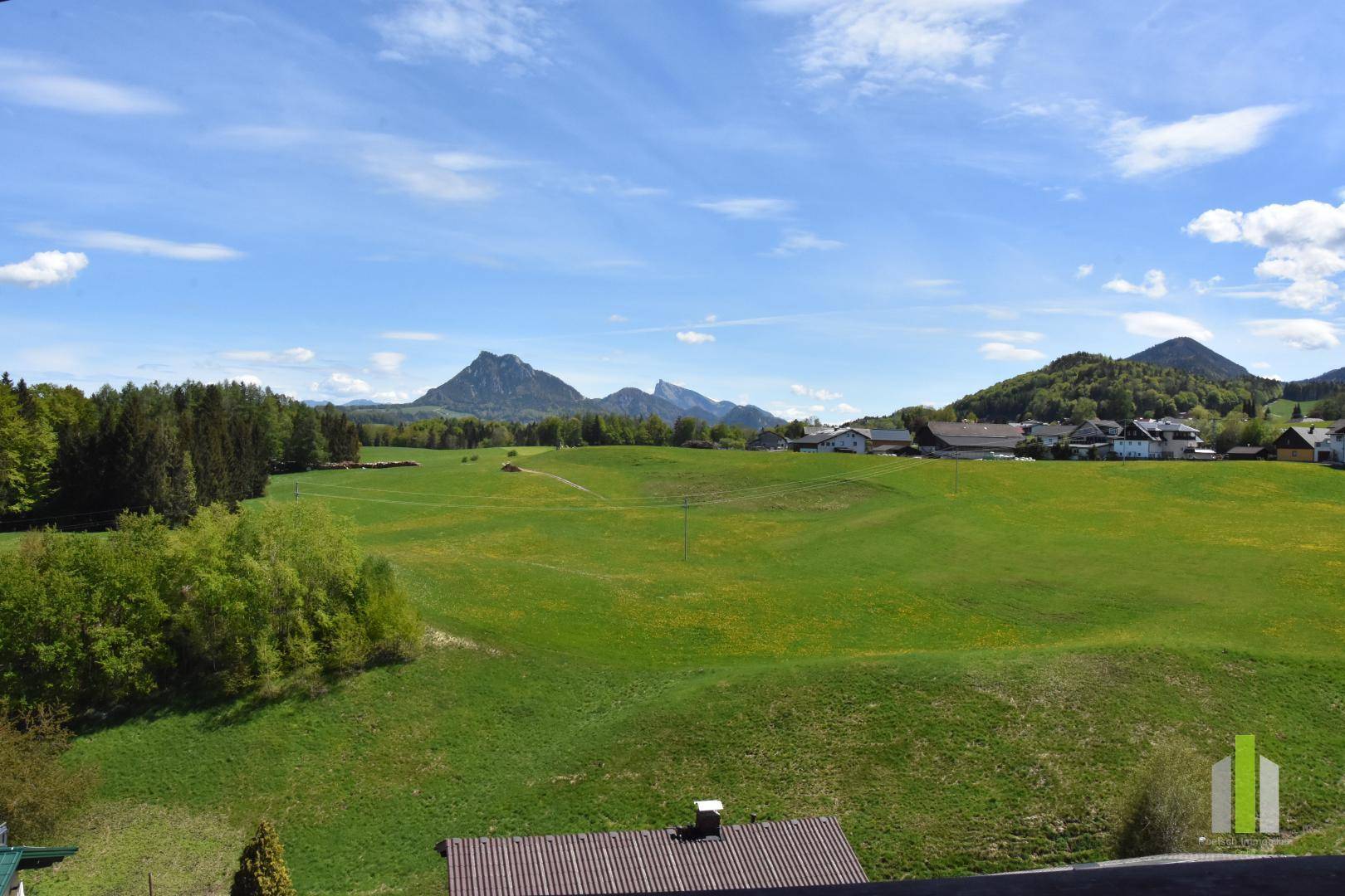 Weitläufige grüne Landschaft mit Bergen im Hintergrund unter blauem Himmel.