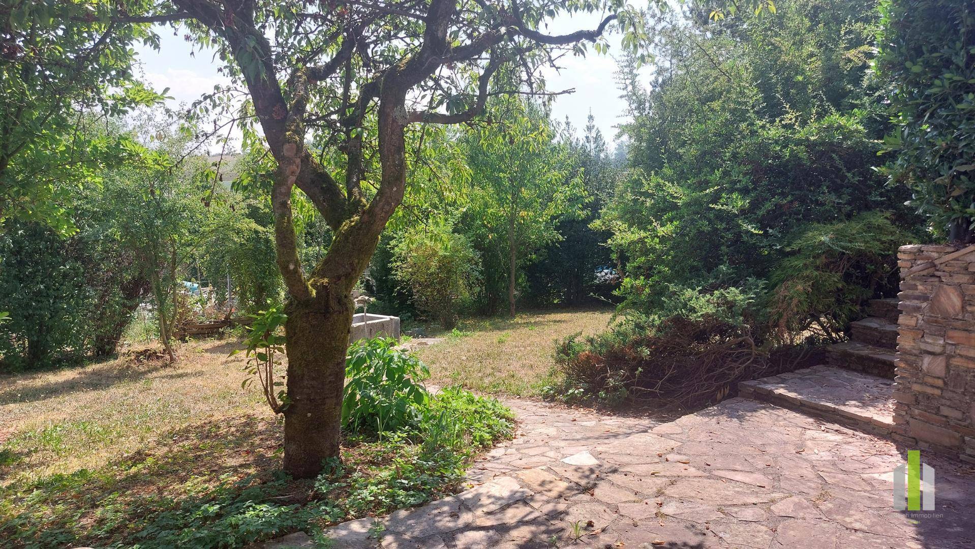 Großer, naturbelassener Gartenbereich mit altem Baum und Steinplattenweg unter blauem Himmel.