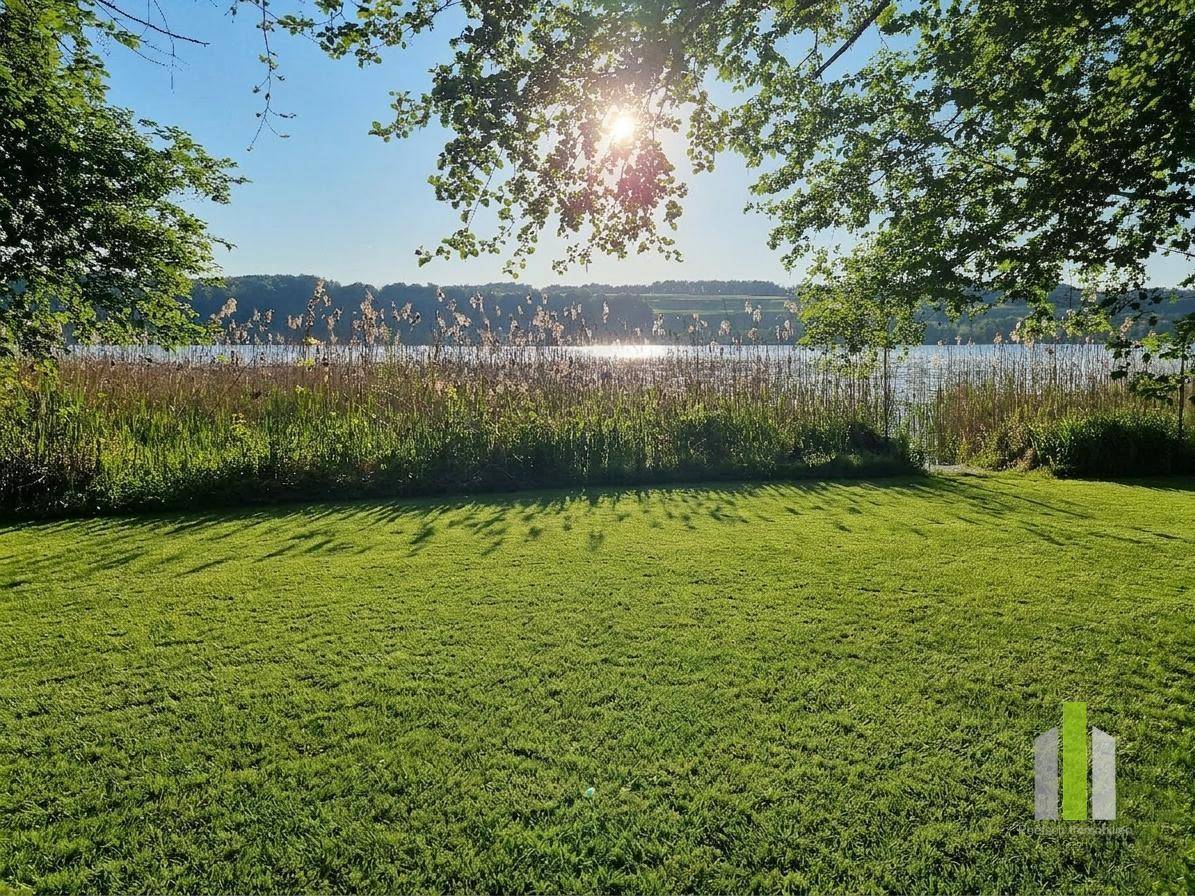 Sonnige Rasenfläche mit Blick auf den See und den Schilfgürtel, umrahmt von grünen Bäumen im Vordergrund.