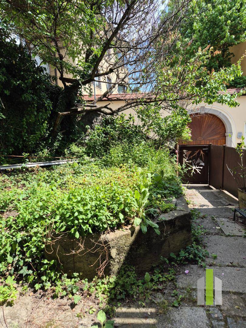 Verwunschener Gartenbereich mit üppiger Vegetation, alten Bäumen und einem dekorativen Tor.