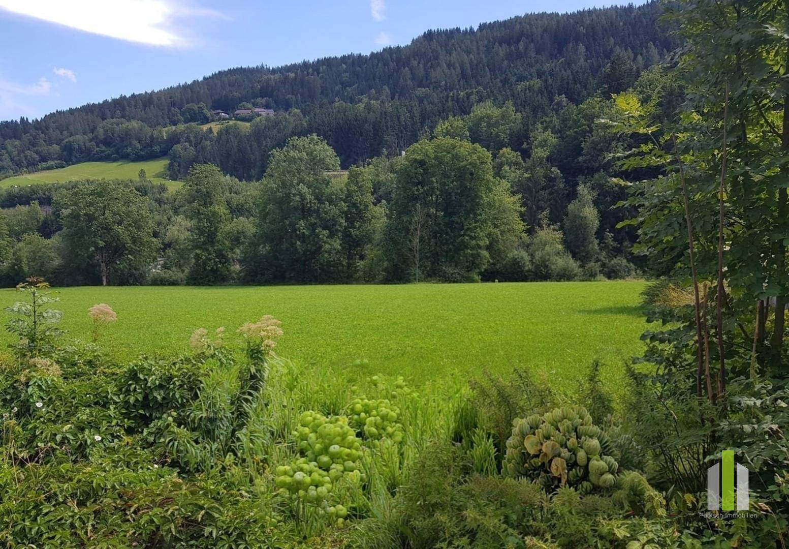 Idyllisches grünes Feld, umgeben von üppiger Vegetation und bewaldeten Hügeln in der Ferne.