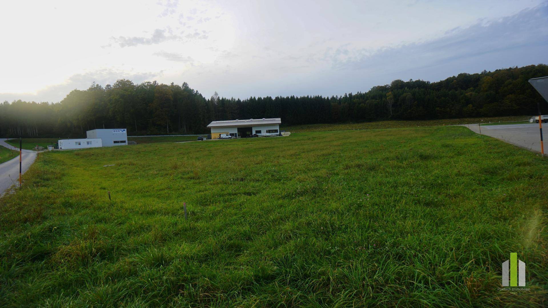 Weitläufige grüne Wiese mit Gebäuden und Wald am Horizont, unter einem teilweise sonnigen Himmel.