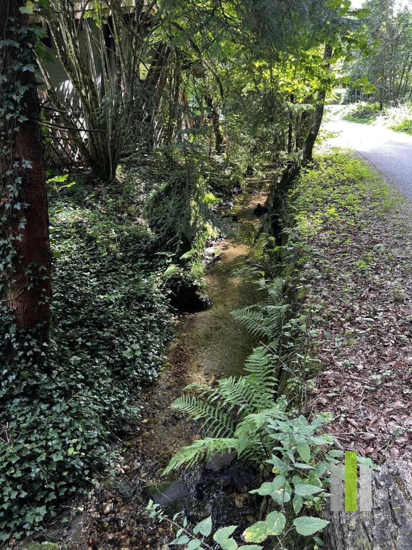 Bachlauf
