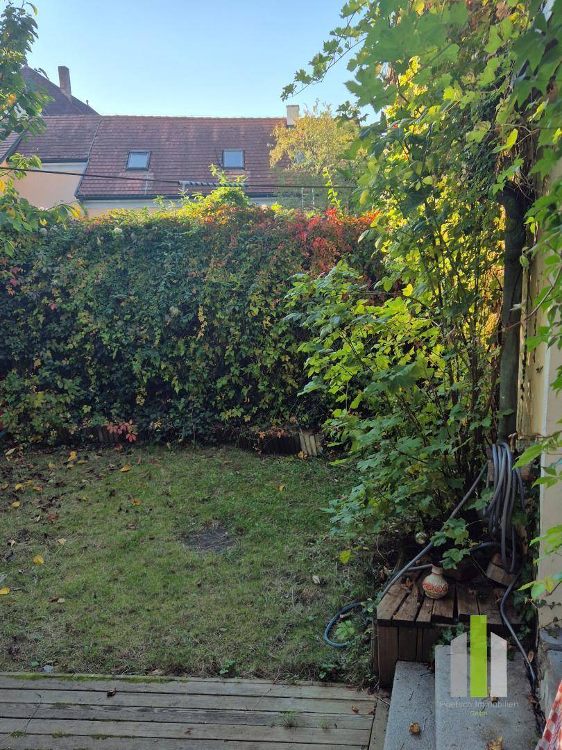 Gepflegter Garten mit Rasenfläche, hoher Hecke und Holzterrasse im Herbstlicht.