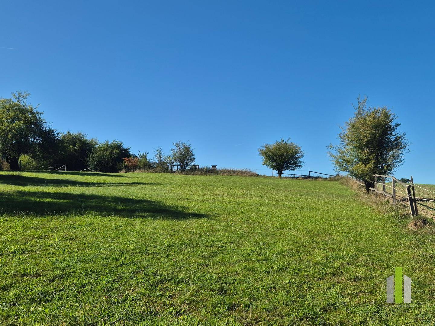 Offene grüne Landschaft mit vereinzelten Bäumen und einem Zaun unter blauem Himmel.