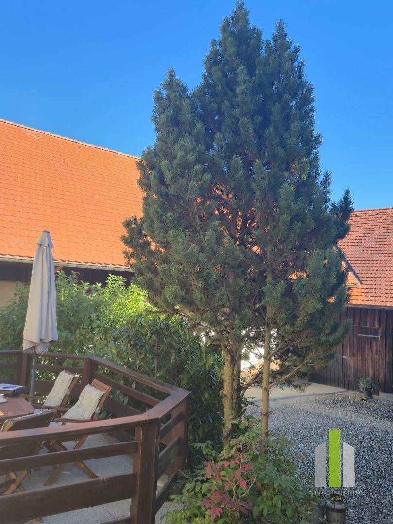 Holzterrasse mit Gartenmöbeln und einem großen Baum, umgeben von grüner Natur. 