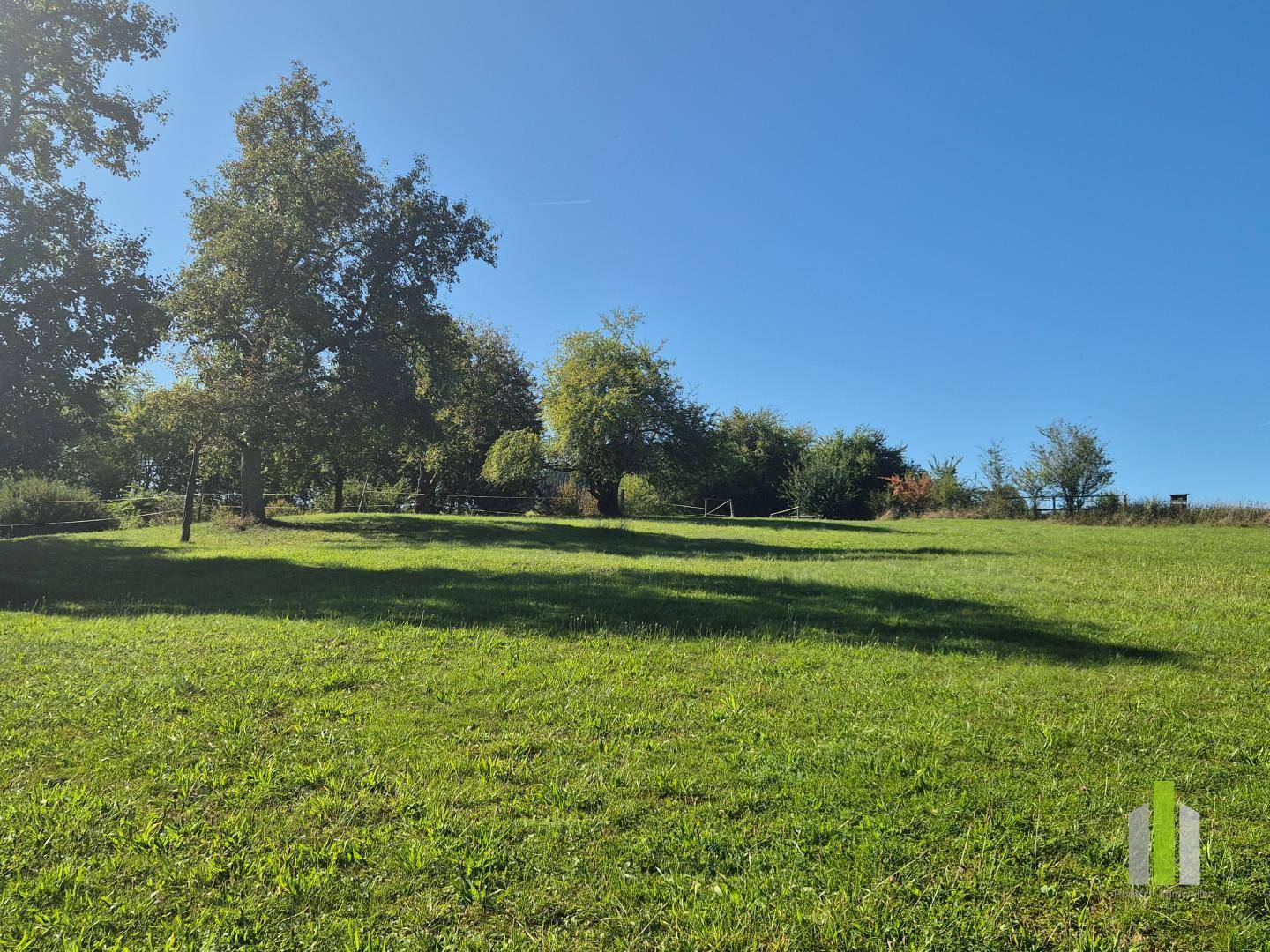 Weitläufige grüne Wiese mit Bäumen unter strahlend blauem Himmel, ideal für Erholung.