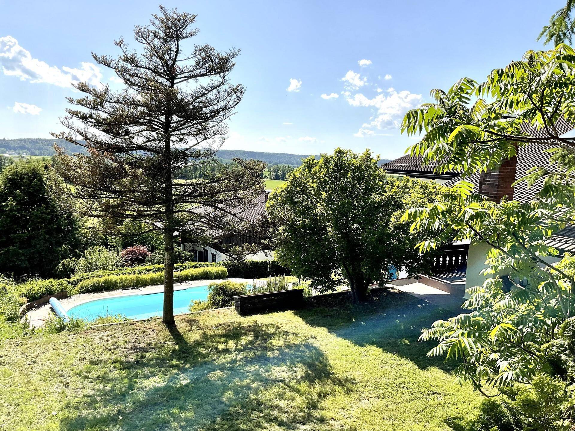 Garten mit Pool