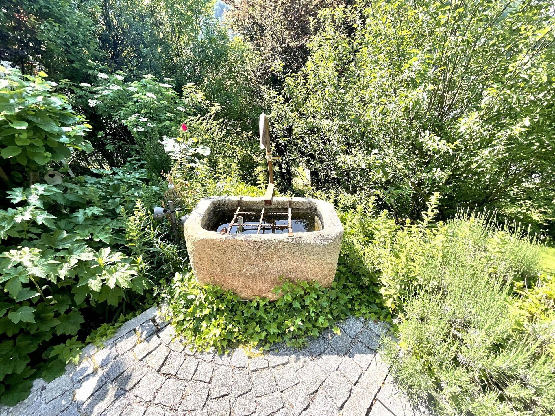 Idyllischer Gartenbereich mit üppiger Vegetation und einem rustikalen Steintrog als Wasserelement.