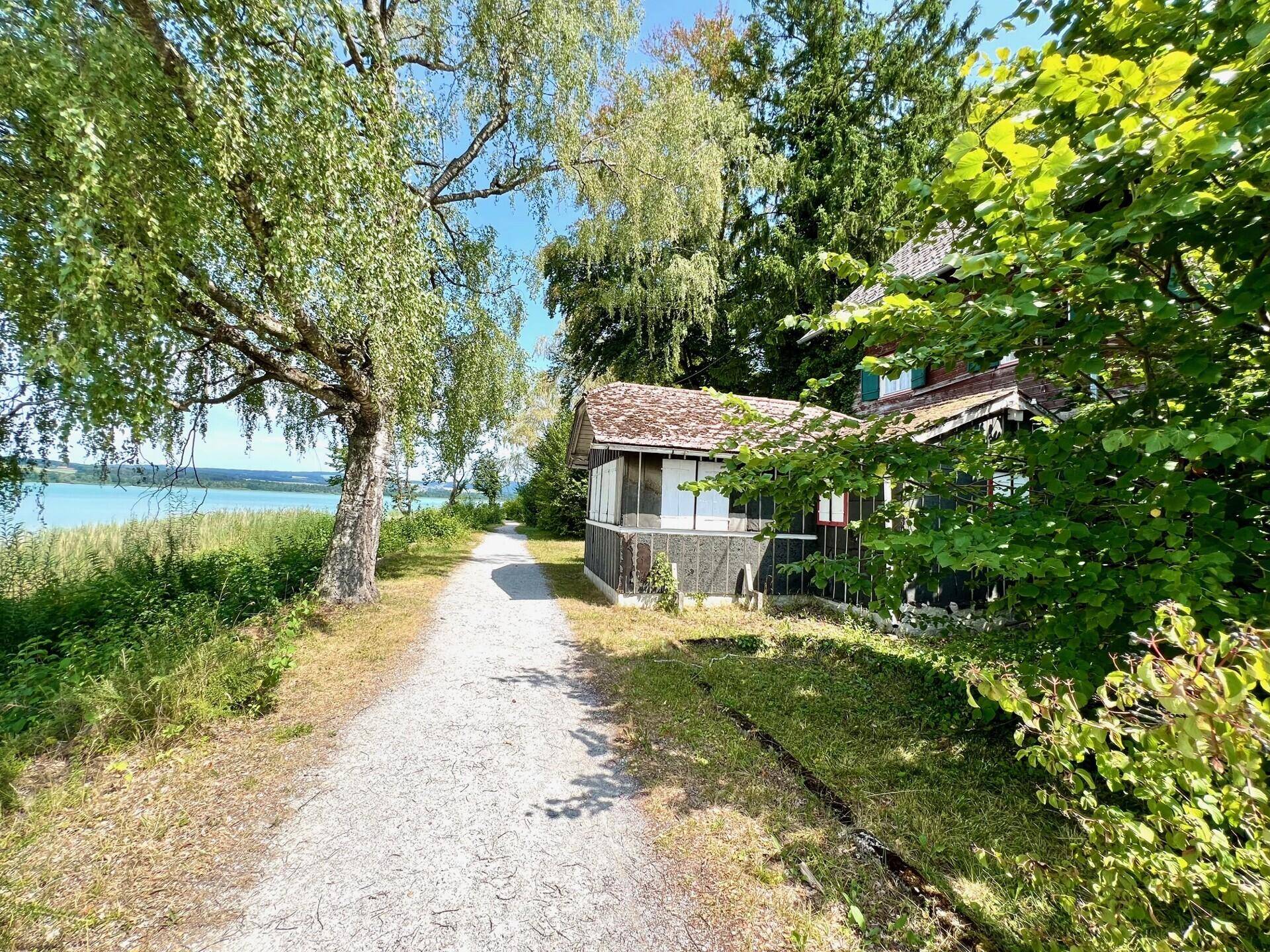 Schmaler Kiesweg führt entlang des Hauses und des Sees, umgeben von hohen Bäumen und grüner Vegetation.
