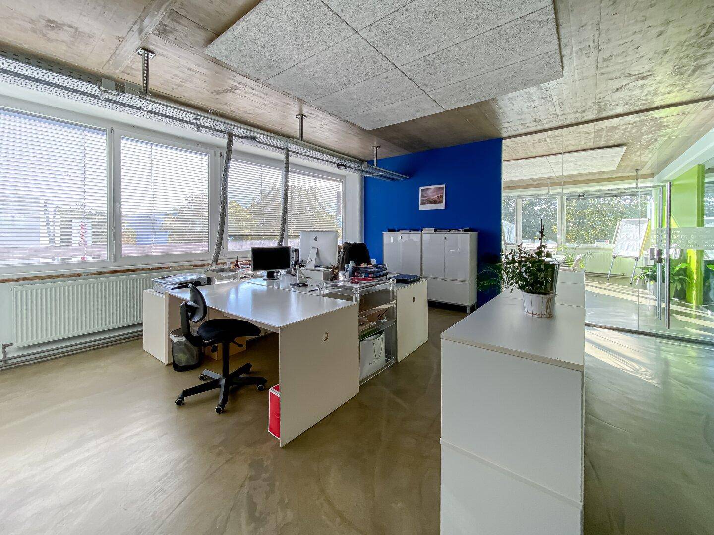 Moderner Büroraum mit weißen Schreibtischen, blauer Akzentwand und viel Tageslicht.