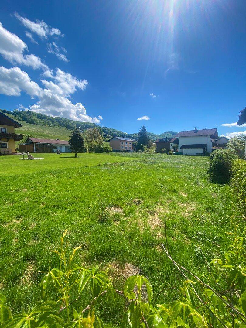 Idyllische Grünfläche mit weitem Blick auf die Natur und die umliegenden Häuser.