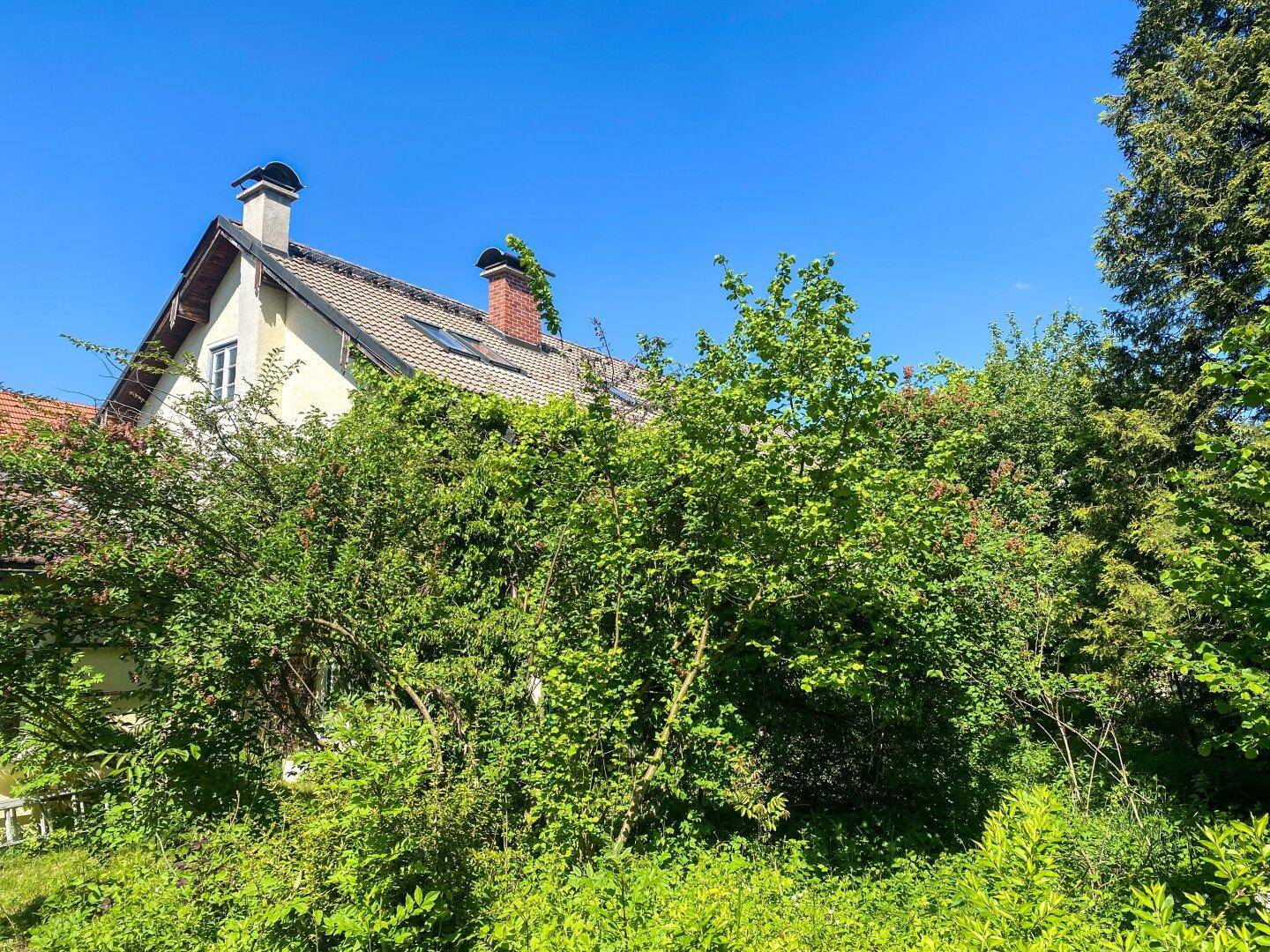 Teilansicht des Hauses, umgeben von dichtem Laubwerk und Bäumen im Sonnenlicht.