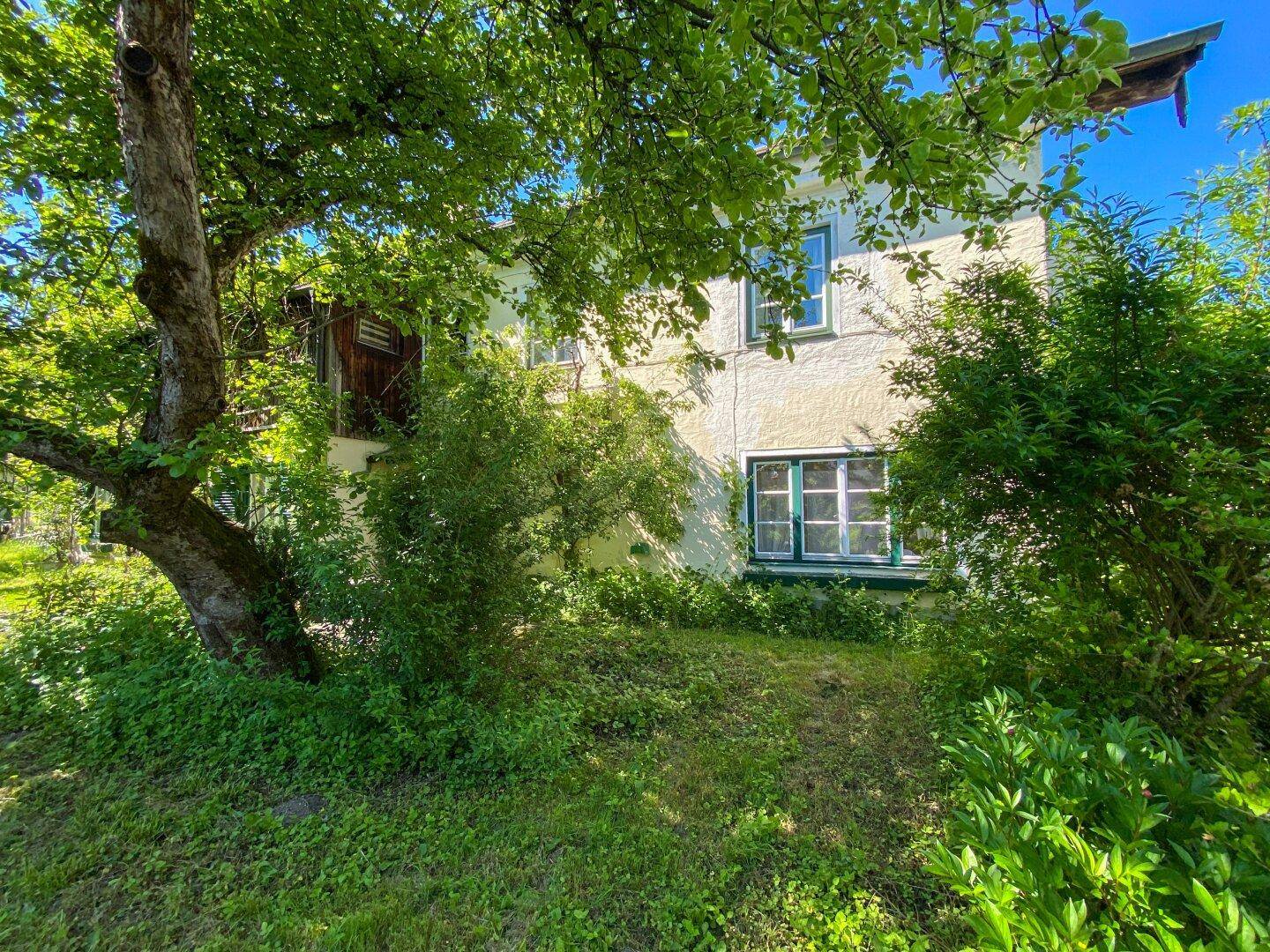 Seitenansicht des Hauses mit hellgelber Fassade und grünen Fensterrahmen, umgeben von Bäumen.