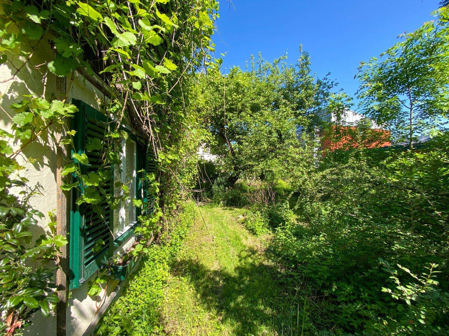 Grüner Gartenweg entlang der Hauswand mit Fensterläden, umgeben von dichter Vegetation.