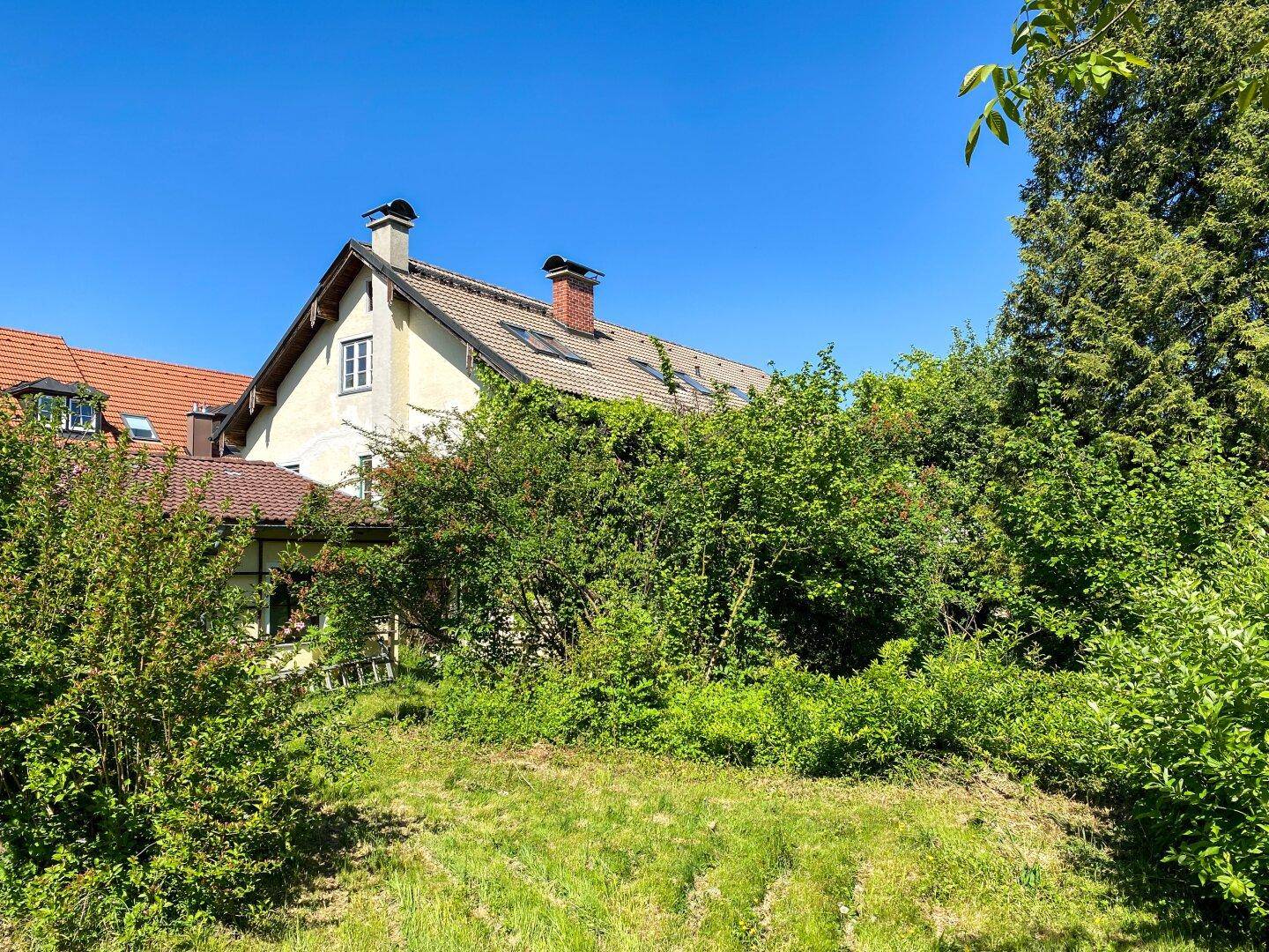 Hausfassade umgeben von üppigem Grün und Bäumen unter strahlend blauem Himmel.