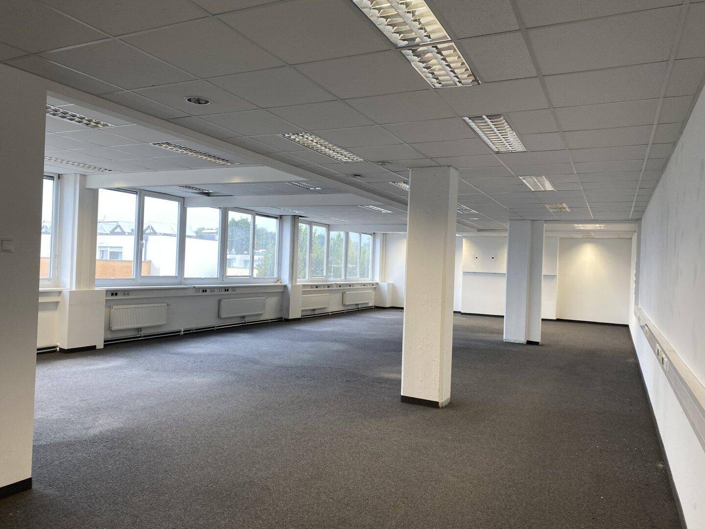 Geräumiges, leeres Büro mit großen Fenstern, grauem Teppichboden und abgehängter Decke.