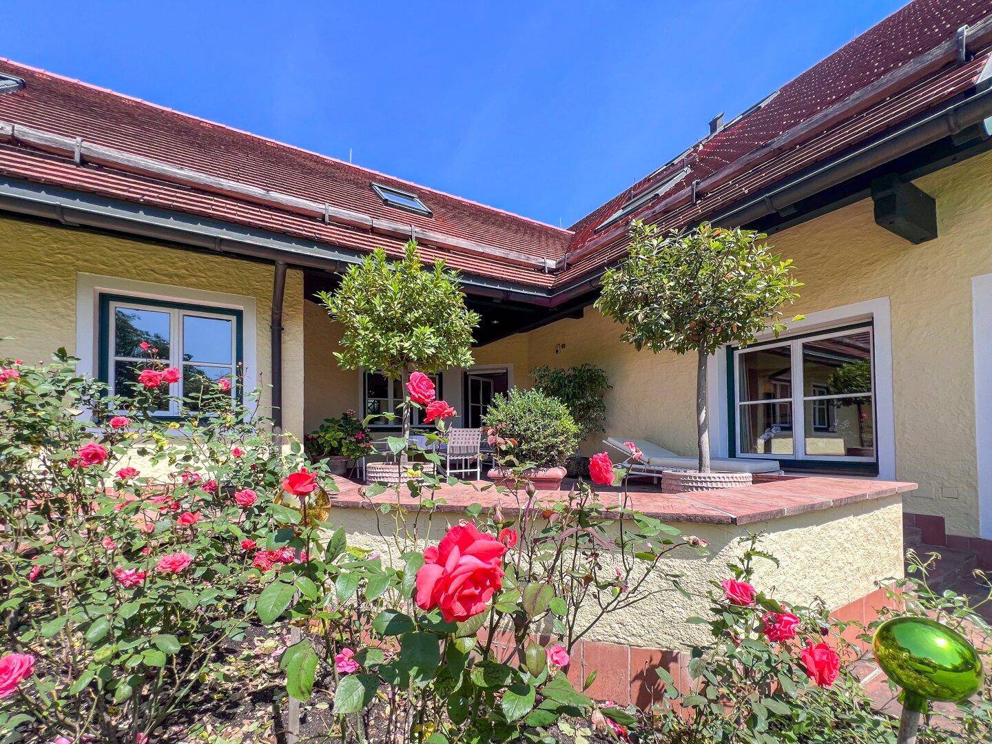 Sonniger Garten mit blühenden Rosen, Bäumen und einer kleinen Terrasse.